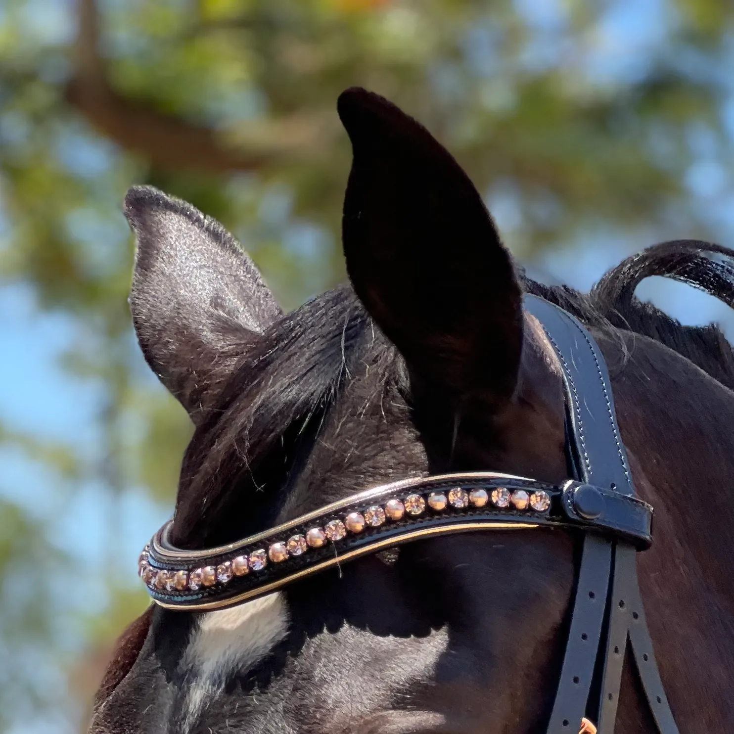 Aurelia Rose Gold Black Patent Double Bridle