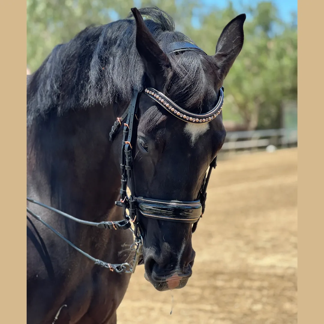 Aurelia Rose Gold Black Patent Double Bridle