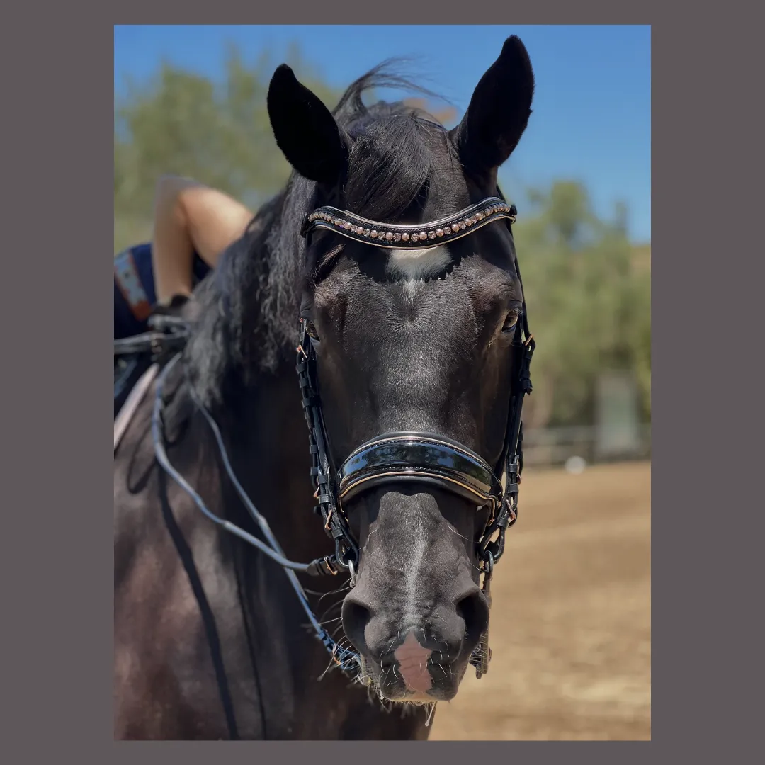 Aurelia Rose Gold Black Patent Double Bridle