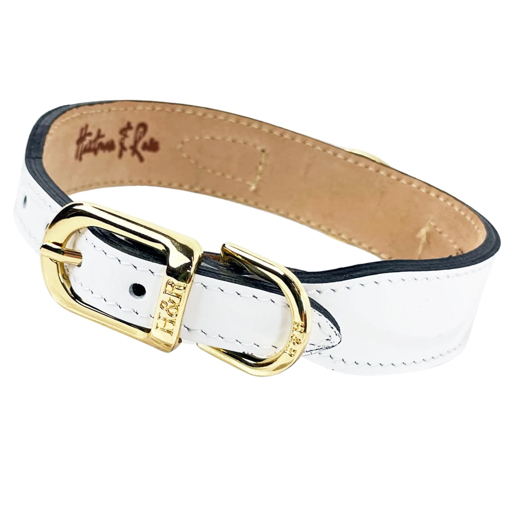 Galaxy Dog Collar in White & Gold