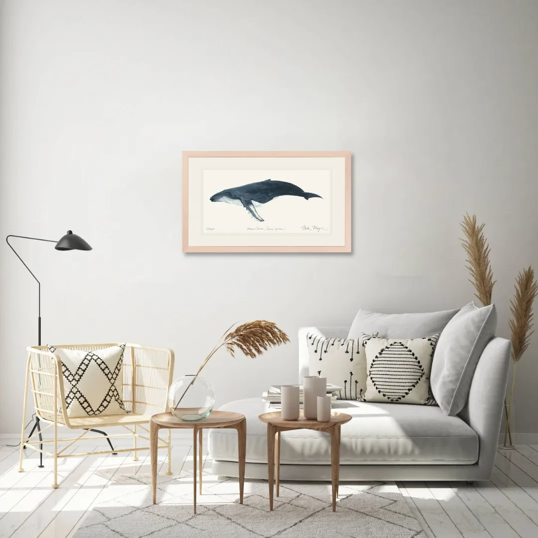 Humpback Whale Print