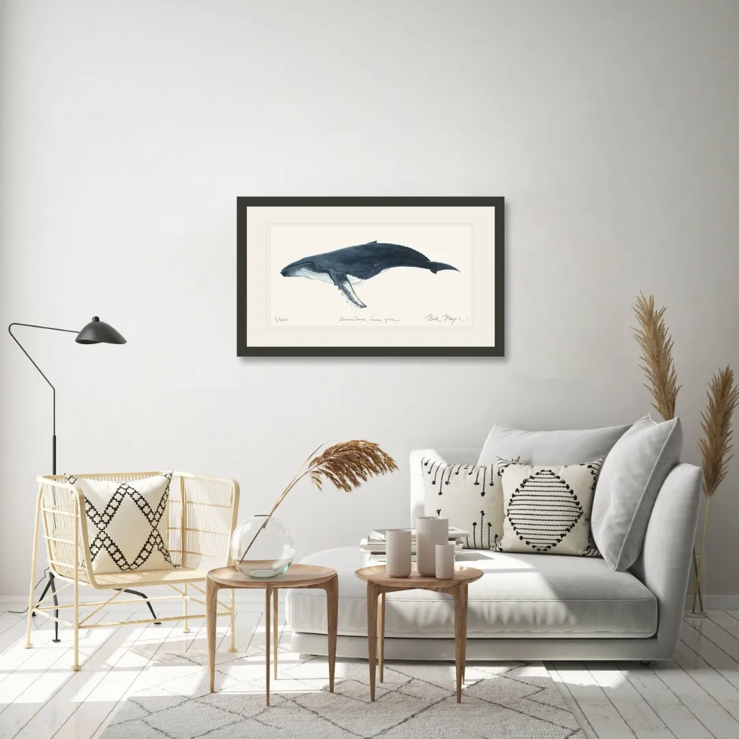 Humpback Whale Print