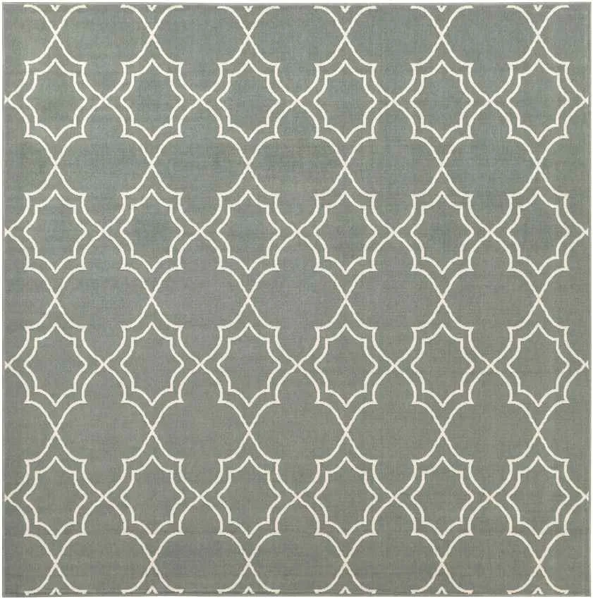 Liam Outdoor Area Rug Carpet for Living Room Bedroom or Kitchen