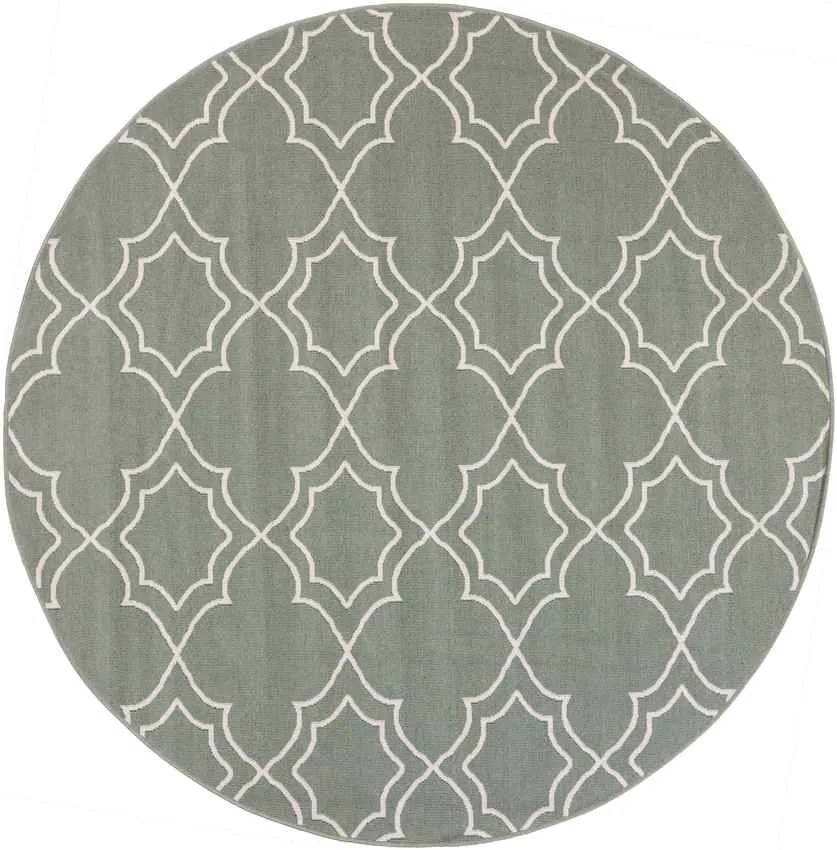 Liam Outdoor Area Rug Carpet for Living Room Bedroom or Kitchen