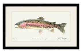 Rainbow Trout Print - Best Seller