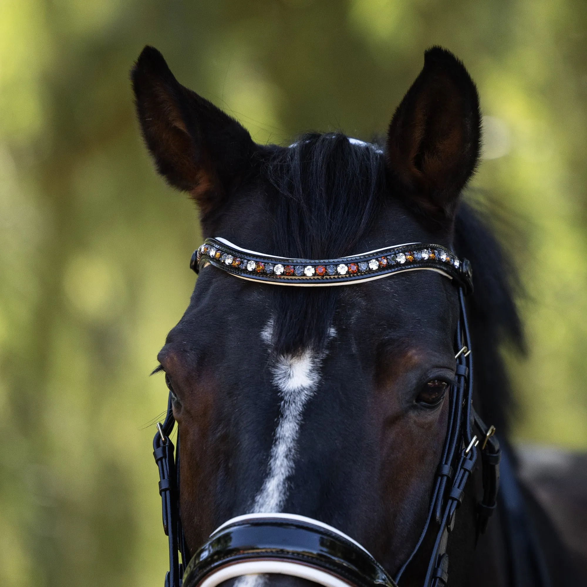 Taos Black Patent Leather Snaffle Bridle