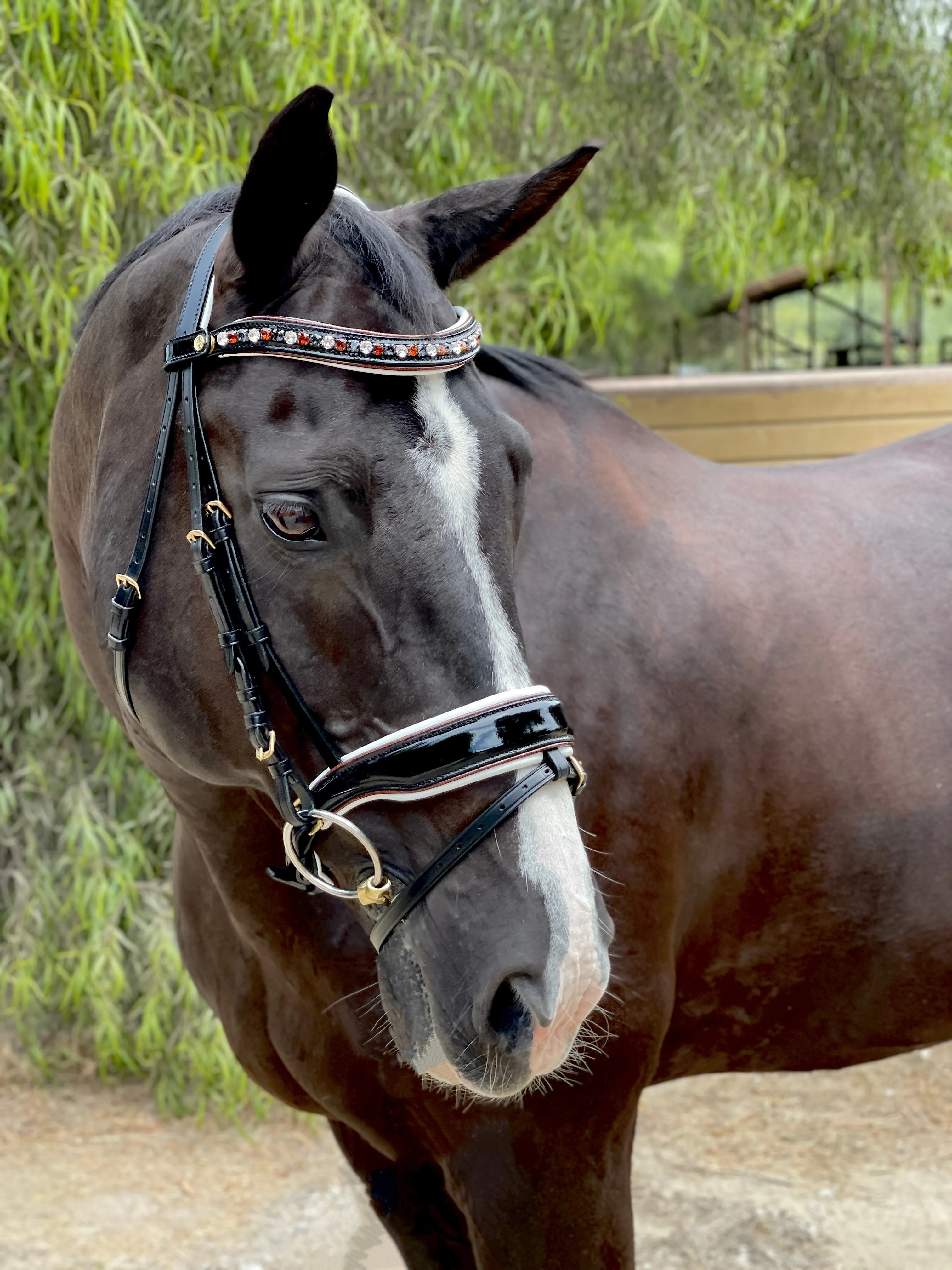 Taos Black Patent Leather Snaffle Bridle